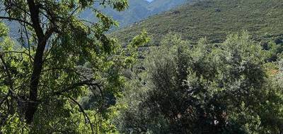 Terrain seul à Occhiatana en Haute-Corse (2B) de 623 m² à vendre au prix de 136800€ - 3