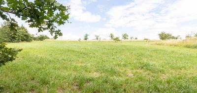 Terrain seul à Guenviller en Moselle (57) de 1110 m² à vendre au prix de 84000€ - 1