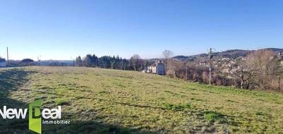 Terrain seul à Beynat en Corrèze (19) de 1300 m² à vendre au prix de 20000€ - 3