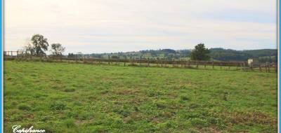 Terrain seul à La Clayette en Saône-et-Loire (71) de 1600 m² à vendre au prix de 33500€ - 3