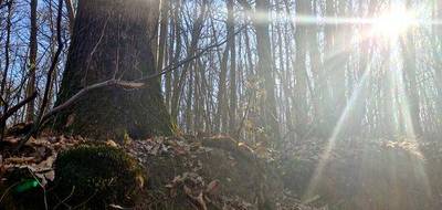 Terrain seul à Ronquerolles en Val-d'Oise (95) de 1886 m² à vendre au prix de 9400€ - 3