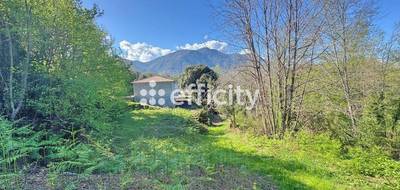 Terrain seul à Cervione en Haute-Corse (2B) de 1500 m² à vendre au prix de 105000€ - 3