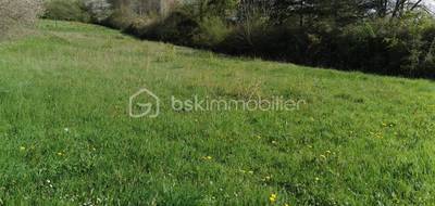 Terrain seul à Villeneuve-sur-Yonne en Yonne (89) de 1065 m² à vendre au prix de 31000€ - 1