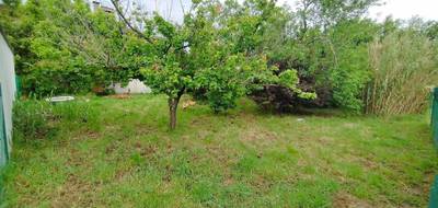 Terrain seul à Colomiers en Haute-Garonne (31) de 357 m² à vendre au prix de 144000€ - 3