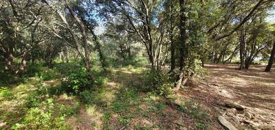 Terrain seul à Uzès en Gard (30) de 2638 m² à vendre au prix de 267500€ - 4