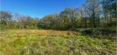 Terrain seul à Villefranche-sur-Cher en Loir-et-Cher (41) de 6804 m² à vendre au prix de 65990€ - 1