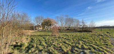 Terrain seul à Bailly-le-Franc en Aube (10) de 1490 m² à vendre au prix de 15000€ - 2