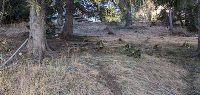 Terrain seul à Dévoluy en Hautes-Alpes (05) de 392 m² à vendre au prix de 149900€ - 3