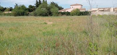 Terrain seul à Paraza en Aude (11) de 523 m² à vendre au prix de 75000€ - 4