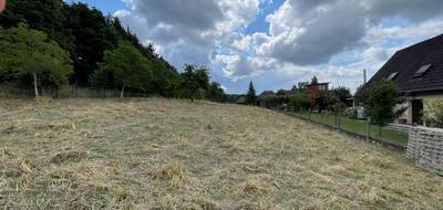 Terrain seul à Hirtzbach en Haut-Rhin (68) de 1600 m² à vendre au prix de 217391€ - 2