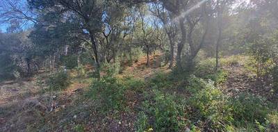 Terrain seul à Oraison en Alpes-de-Haute-Provence (04) de 2847 m² à vendre au prix de 240000€ - 3