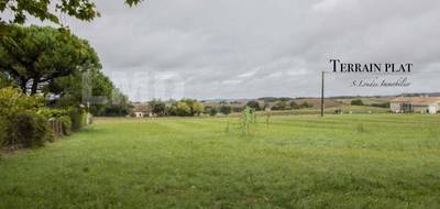 Terrain seul à Beaumont-de-Lomagne en Tarn-et-Garonne (82) de 1238 m² à vendre au prix de 29000€ - 1