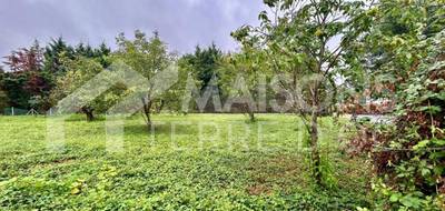 Terrain seul à Mazamet en Tarn (81) de 1000 m² à vendre au prix de 55000€ - 2