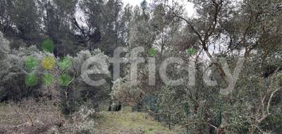 Terrain seul à Aix-en-Provence en Bouches-du-Rhône (13) de 1000 m² à vendre au prix de 750000€ - 3