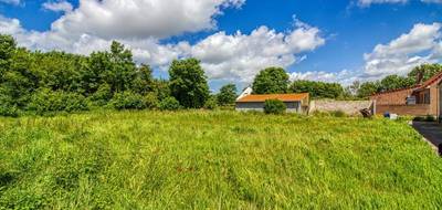 Terrain seul à Oye-Plage en Pas-de-Calais (62) de 555 m² à vendre au prix de 79000€ - 4