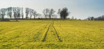 Terrain seul à Miribel en Ain (01) de 857 m² à vendre au prix de 479250€ - 1