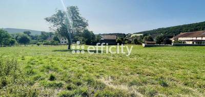 Terrain seul à Agey en Côte-d'Or (21) de 4691 m² à vendre au prix de 330000€ - 1