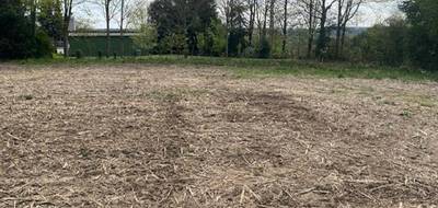 Terrain seul à Molac en Morbihan (56) de 1075 m² à vendre au prix de 66000€ - 4