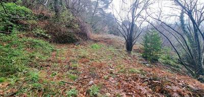 Terrain seul à Le Collet-de-Dèze en Lozère (48) de 9403 m² à vendre au prix de 98000€ - 4