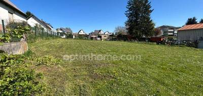 Terrain seul à Heimsbrunn en Haut-Rhin (68) de 1000 m² à vendre au prix de 234000€ - 3