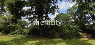 Terrain seul à Saint-Philbert-de-Grand-Lieu en Loire-Atlantique (44) de 1070 m² à vendre au prix de 184900€ - 3