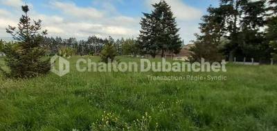 Terrain seul à Cordelle en Loire (42) de 1158 m² à vendre au prix de 87000€ - 3