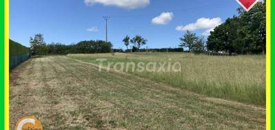 Terrain seul à Cérilly en Allier (03) de 0 m² à vendre au prix de 19000€ - 2