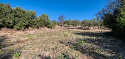 Terrain seul à Caunes-Minervois en Aude (11) de 1600 m² à vendre au prix de 78000€ - 1