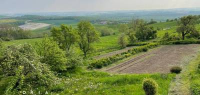 Terrain seul à Mousson en Meurthe-et-Moselle (54) de 1625 m² à vendre au prix de 125000€ - 1