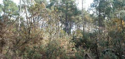 Terrain seul à Nivillac en Morbihan (56) de 14360 m² à vendre au prix de 49000€ - 3
