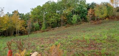 Terrain seul à Sarlat-la-Canéda en Dordogne (24) de 3310 m² à vendre au prix de 45000€ - 2