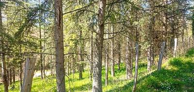 Terrain seul à Lombers en Tarn (81) de 4000 m² à vendre au prix de 89000€ - 2
