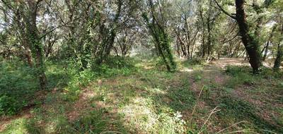 Terrain seul à Uzès en Gard (30) de 2638 m² à vendre au prix de 267500€ - 2