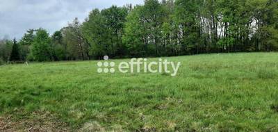 Terrain seul à Saint-Auvent en Haute-Vienne (87) de 4578 m² à vendre au prix de 50600€ - 1