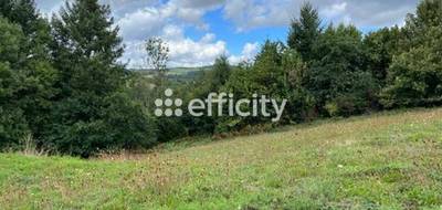 Terrain seul à La Monnerie-le-Montel en Puy-de-Dôme (63) de 1540 m² à vendre au prix de 10164€ - 2
