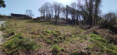 Terrain seul à Baden en Morbihan (56) de 348 m² à vendre au prix de 295000€ - 3