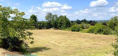 Terrain seul à Mussidan en Dordogne (24) de 5000 m² à vendre au prix de 55000€ - 3