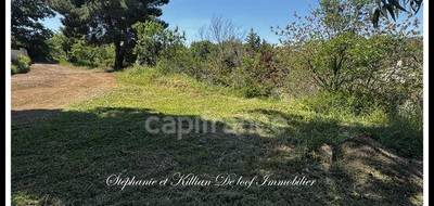 Terrain seul à Saint-Thibéry en Hérault (34) de 450 m² à vendre au prix de 127200€ - 2