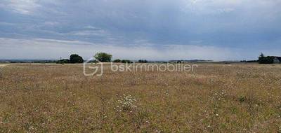 Terrain seul à Boësses en Loiret (45) de 7973 m² à vendre au prix de 49500€ - 4