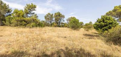 Terrain seul à Malves-en-Minervois en Aude (11) de 8952 m² à vendre au prix de 28000€ - 4