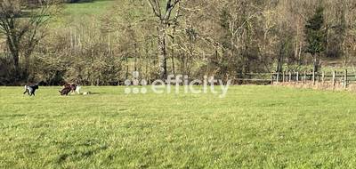 Terrain seul à Arçonnay en Sarthe (72) de 50000 m² à vendre au prix de 145000€ - 1