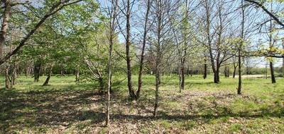 Terrain seul à Casteljaloux en Lot-et-Garonne (47) de 1050 m² à vendre au prix de 39650€ - 2