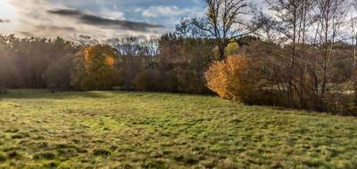 Terrain seul à Chabreloche en Puy-de-Dôme (63) de 5264 m² à vendre au prix de 69000€ - 3