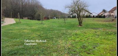 Terrain seul à Ippling en Moselle (57) de 1000 m² à vendre au prix de 85000€ - 4