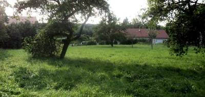 Terrain seul à Capavenir Vosges en Vosges (88) de 850 m² à vendre au prix de 22000€ - 4