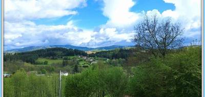 Terrain seul à Celles-sur-Durolle en Puy-de-Dôme (63) de 1836 m² à vendre au prix de 30700€ - 3