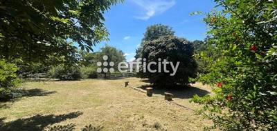 Terrain seul à Balma en Haute-Garonne (31) de 1329 m² à vendre au prix de 410000€ - 1