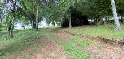Terrain seul à Tulle en Corrèze (19) de 2384 m² à vendre au prix de 19000€ - 2