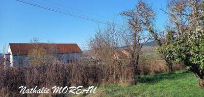 Terrain seul à Reclesne en Saône-et-Loire (71) de 1841 m² à vendre au prix de 22995€ - 3