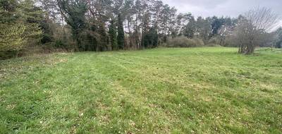 Terrain seul à Phalsbourg en Moselle (57) de 700 m² à vendre au prix de 45000€ - 1